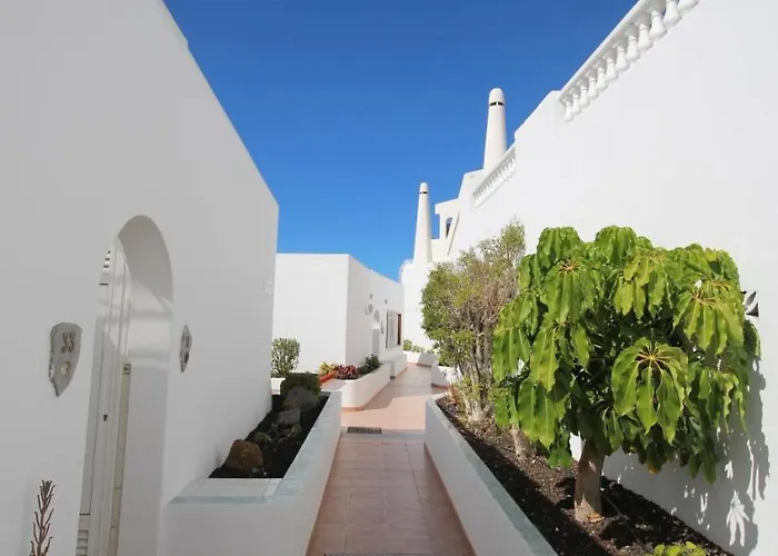 Puerto Colon أذيخي